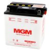 BATERIA 12 VOLTÍOS CON MANTENIMIENTO - Imagen 4